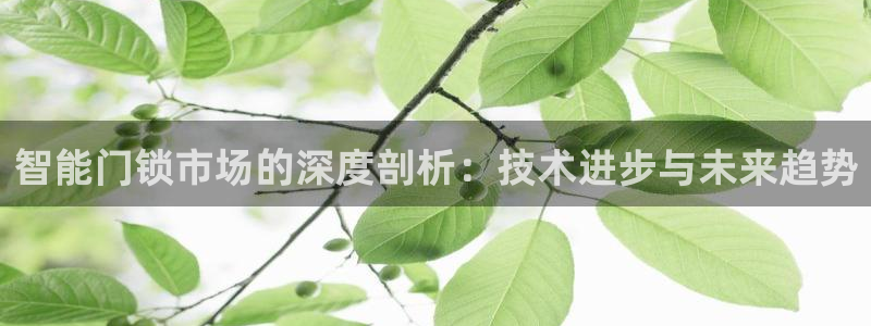 开丰娱乐登录：智能门锁市场的深度剖析：技术进步与未来趋势
