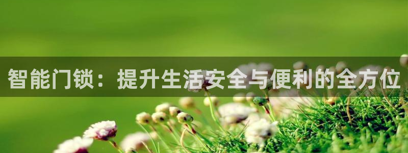开丰娱乐官网平台下载：智能门锁：提升生活安全与便利的全方位
