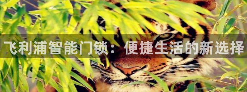 开丰娱乐登录平台：飞利浦智能门锁：便捷生活的新选择
