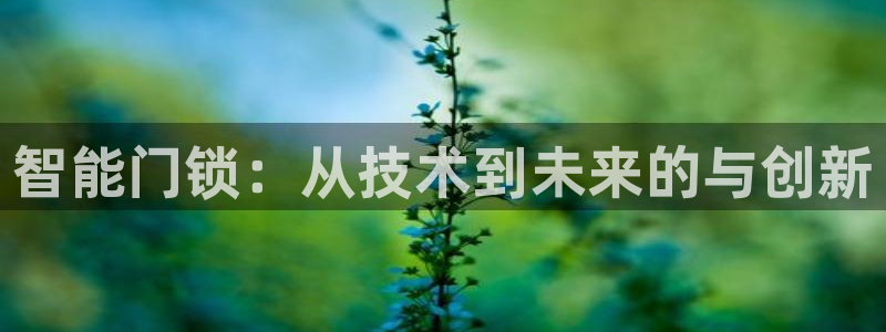 开丰娱乐官网