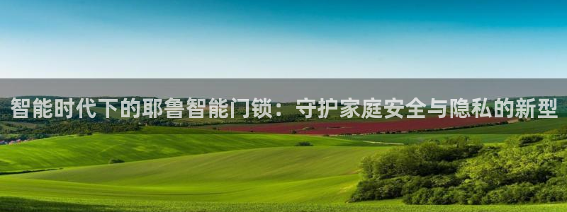 开丰娱乐若七九九：智能时代下的耶鲁智能门锁：守护家庭安全与隐