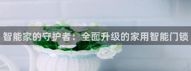 开丰娱乐主管家去判官333OO：智能家的守护者：全面升级的家