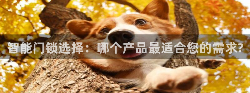 开丰娱乐