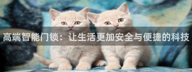 开丰娱乐注册登录不了：高端智能门锁：让生活更加安全与便捷的科