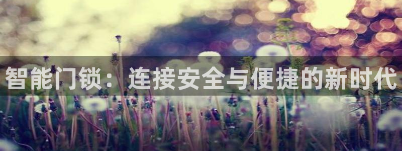 开丰娱乐注册登录：智能门锁：连接安全与便捷的新时代