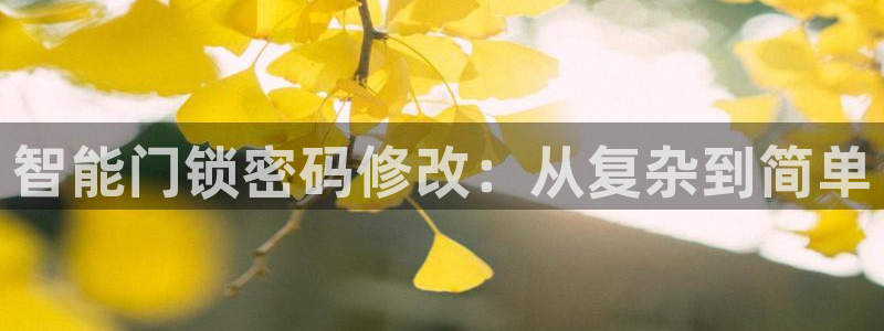开丰娱乐 赢咖一：智能门锁密码修改：从复杂到简单