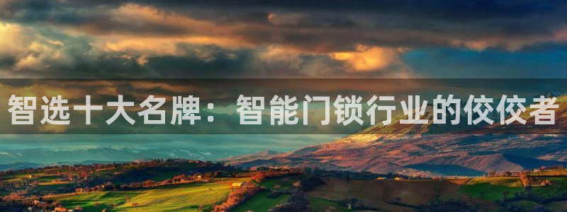开丰娱乐新登录平台：智选十大名牌：智能门锁行业的佼佼者