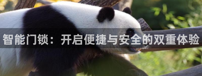 开丰娱乐万六七五一38：智能门锁：开启便捷与安全的双重体验