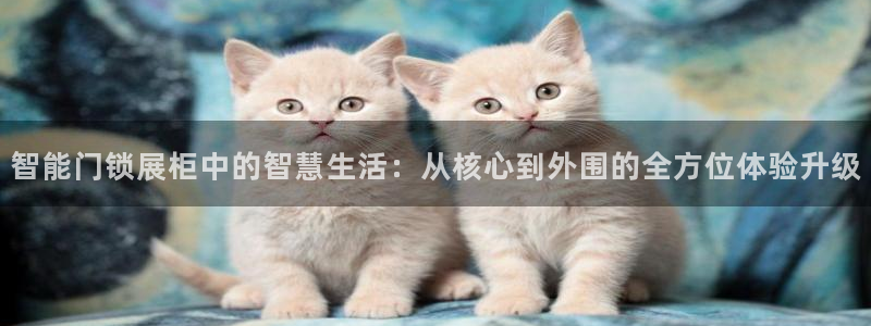 开丰娱乐违法吗：智能门锁展柜中的智慧生活：从核心到外围的全方