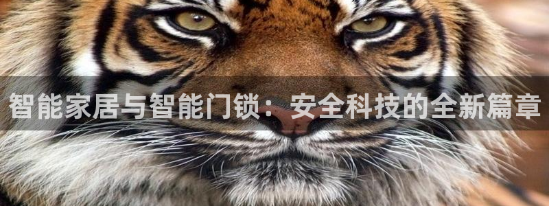 开丰娱乐平台提现失败：智能家居与智能门锁：安全科技的全新篇章