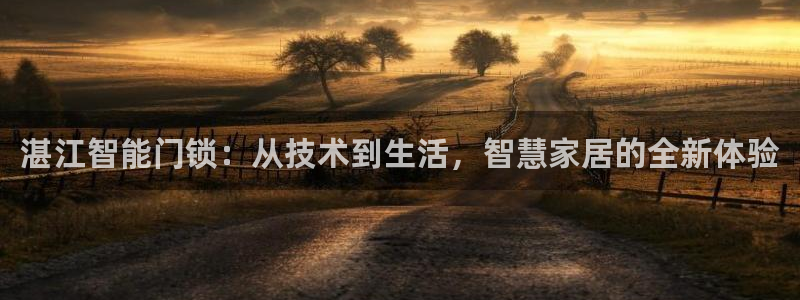 开丰娱乐官网平台电话：湛江智能门锁：从技术到生活，智慧家居的