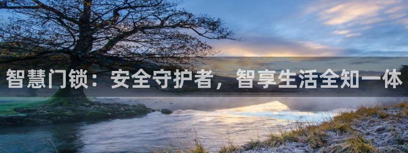 开丰娱乐注册系究耍333OO：智慧门锁：安全守护者，智享生活