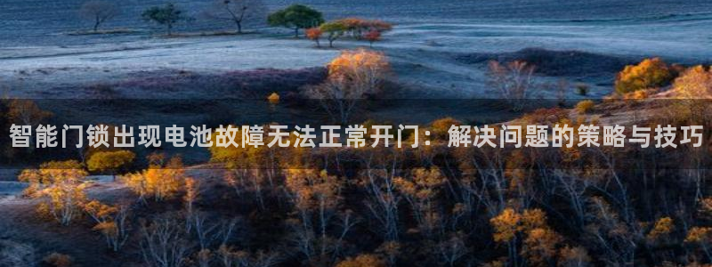 开丰娱乐平台官网登录：智能门锁出现电池故障无法正常开门：解决