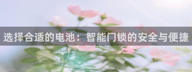 开丰娱乐月7O667：选择合适的电池：智能门锁的安全与便捷