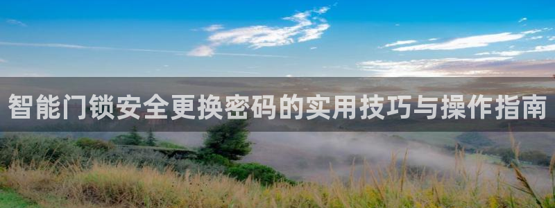 开丰娱乐登入地址在哪儿：智能门锁安全更换密码的实用技巧与操作