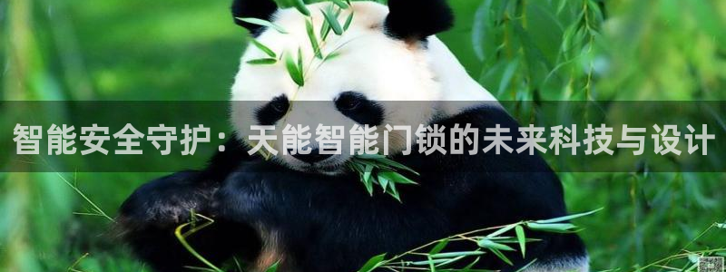 开丰娱乐寸67五壹叁八：智能安全守护：天能智能门锁的未来科技