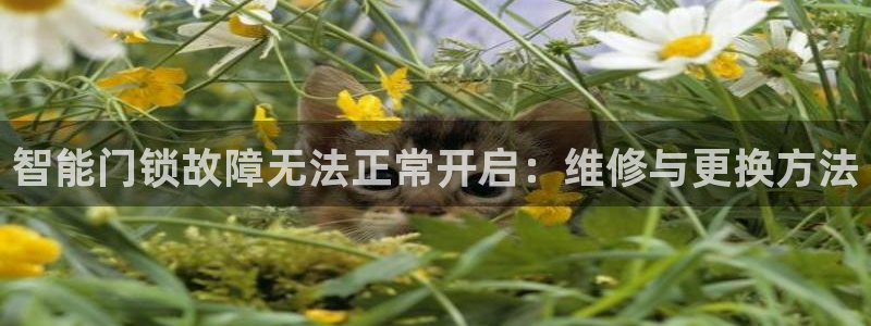 开丰娱乐巾67五壹叁八：智能门锁故障无法正常开启：维修与更换
