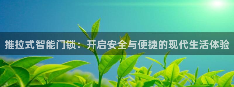 开丰娱乐登入地址是什么：推拉式智能门锁：开启安全与便捷的现代