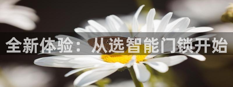 开丰娱乐左7O667：全新体验：从选智能门锁开始