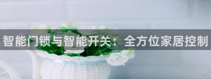 开丰娱乐地址：智能门锁与智能开关：全方位家居控制