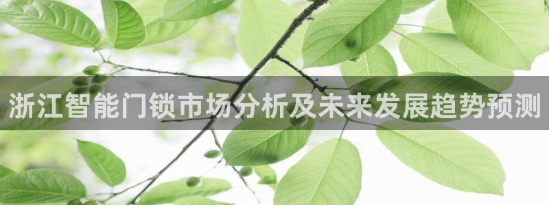 开丰娱乐官网电话：浙江智能门锁市场分析及未来发展趋势预测