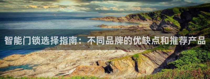 开丰娱乐登陆：智能门锁选择指南：不同品牌的优缺点和推荐产品