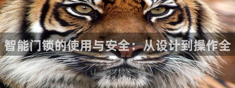 开丰娱乐网址：智能门锁的使用与安全：从设计到操作全
