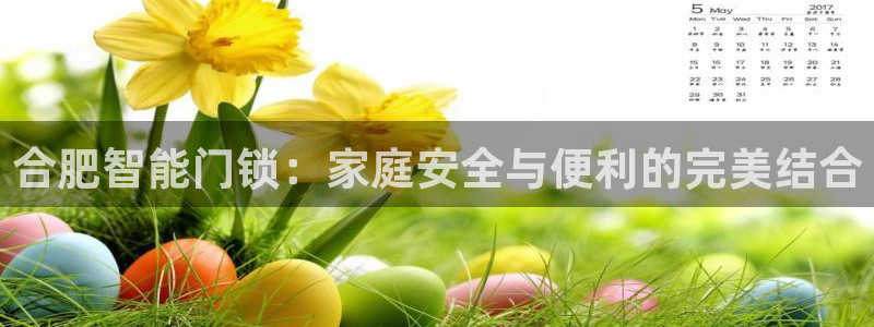开丰娱乐日：合肥智能门锁：家庭安全与便利的完美结合