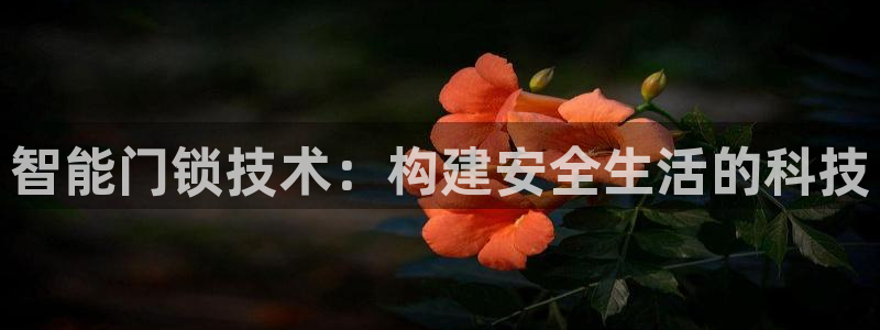开丰娱乐下