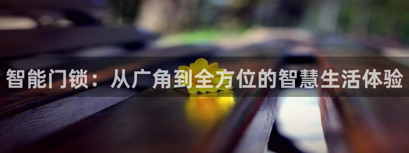 开丰娱乐天：智能门锁：从广角到全方位的智慧生活体验