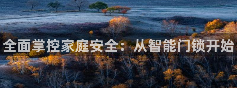 开丰娱乐网站官网：全面掌控家庭安全：从智能门锁开始