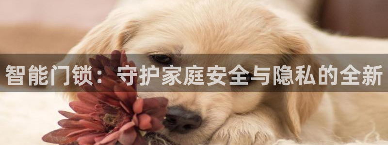 开丰娱乐网站官网下载