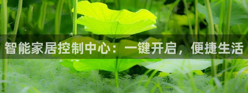 开丰娱乐登入地址在哪儿：智能家居控制中心：一键开启，便捷生活
