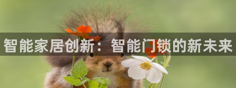 开丰娱乐月7O667：智能家居创新：智能门锁的新未来