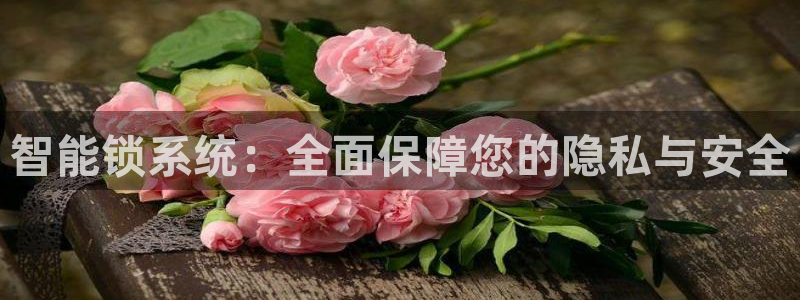 圩丰刚开的娱乐场所：智能锁系统：全面保障您的隐私与安全