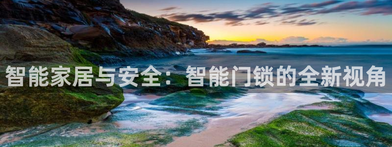 圩丰刚开的娱乐场所：智能家居与安全：智能门锁的全新视角