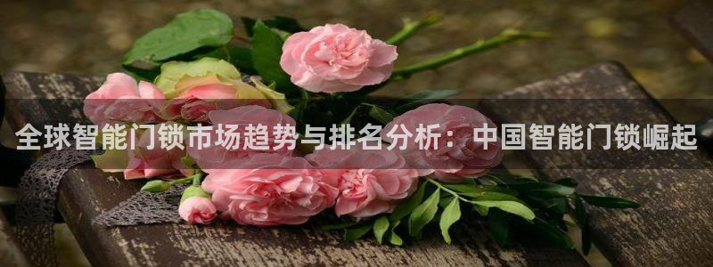 开丰娱乐寸67五壹叁八：全球智能门锁市场趋势与排名分析：中国