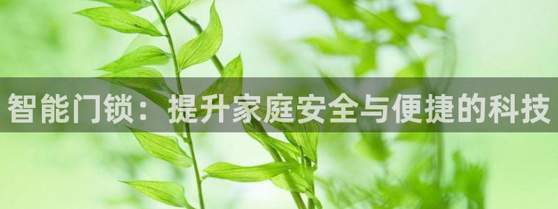 开丰娱乐网站官网首页：智能门锁：提升家庭安全与便捷的科技