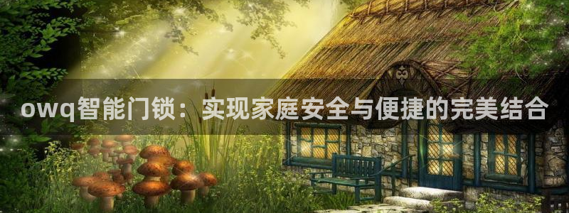 开丰娱乐登录网址：owq智能门锁：实现家庭安全与便捷的完美结