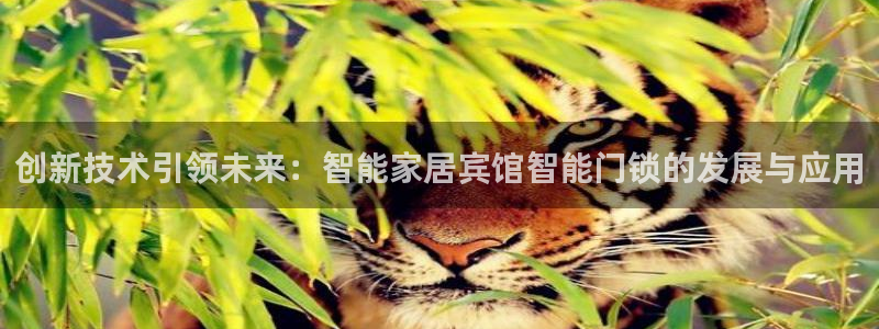 开丰娱乐网站官网入口：创新技术引领未来：智能家居宾馆智能门锁