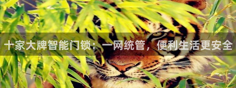 开丰娱乐万六七五一38：十家大牌智能门锁：一网统管，便利生活