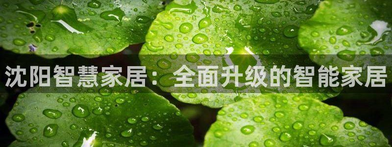 开丰娱乐趣 7O935：沈阳智慧家居：全面升级的智能家居