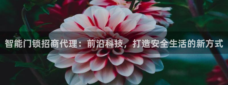 开丰娱乐寸67五壹叁八：智能门锁招商代理：前沿科技，打造安全