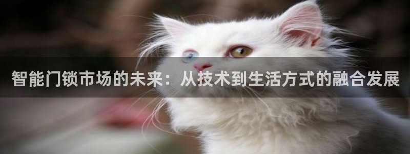 开丰娱乐平台地址在哪里：智能门锁市场的未来：从技术到生活方式