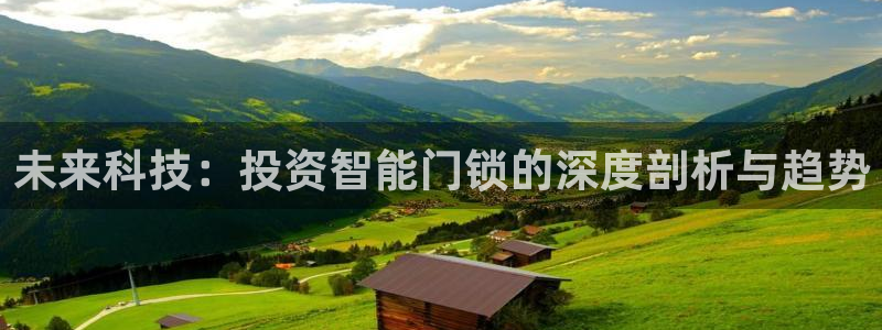开丰娱乐：未来科技：投资智能门锁的深度剖析与趋势