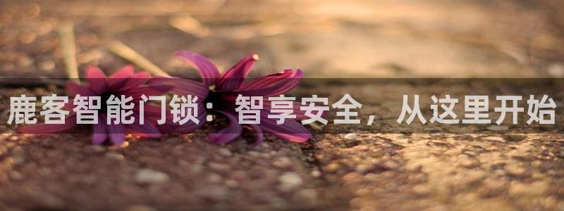 开丰娱乐平台注册地址：鹿客智能门锁：智享安全，从这里开始