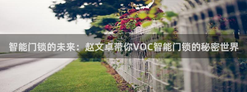 开丰娱乐登录官方网站：智能门锁的未来：赵文卓带你VOC智能门