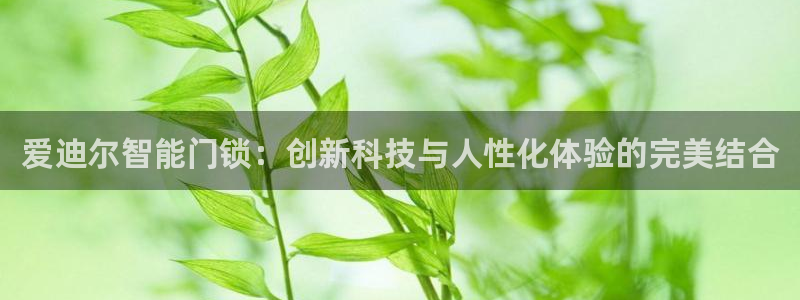 开丰娱乐若七九九：爱迪尔智能门锁：创新科技与人性化体验的完美