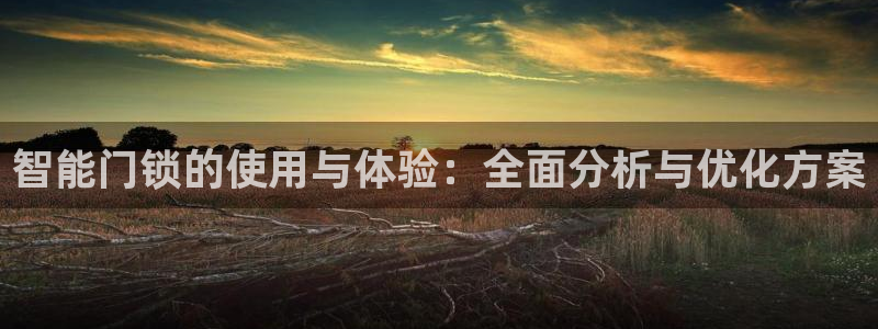 开丰娱乐平台地址在哪里：智能门锁的使用与体验：全面分析与优化