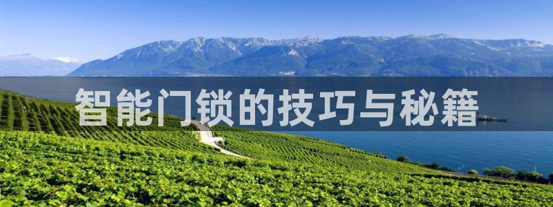 开丰娱乐怎么开转点：智能门锁的技巧与秘籍